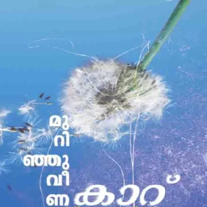 Murinjuveena kaattu